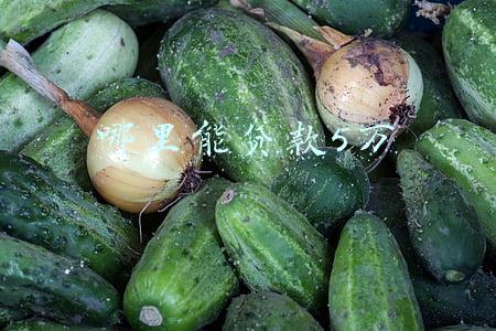 哪里能贷款5万