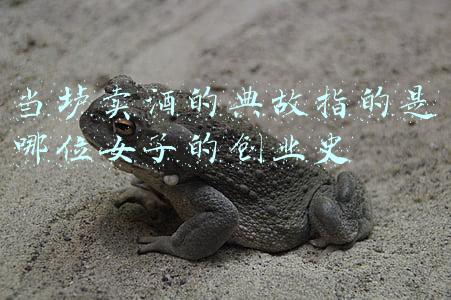 当垆卖酒的典故指的是哪位女子的创业史