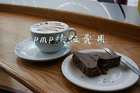 pmp续证费用