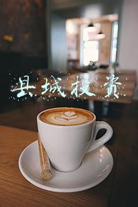 县城投资