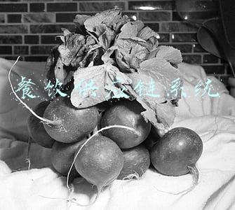 餐饮供应链系统