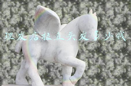理发店头发护理多少钱《理发店头发护理多少钱一次》