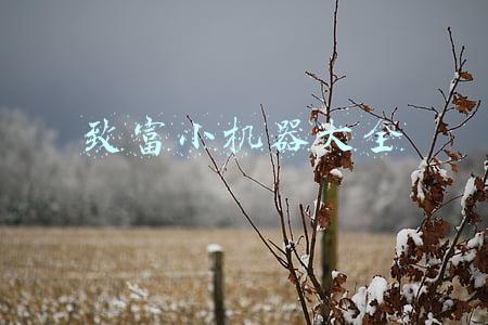 致富小机器大全