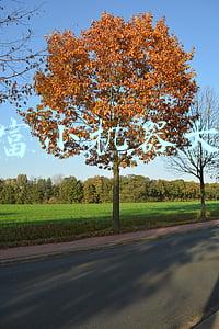 发财小型致富机器大全(日产2到3吨的小型木炭机投资成本及利润)