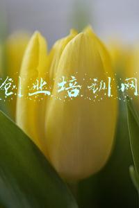 创业培训网站(培训机构不告诉你的6个自学网站，质量高又免费，一年能省几万块)