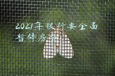 2021年银行要全面暂停房贷