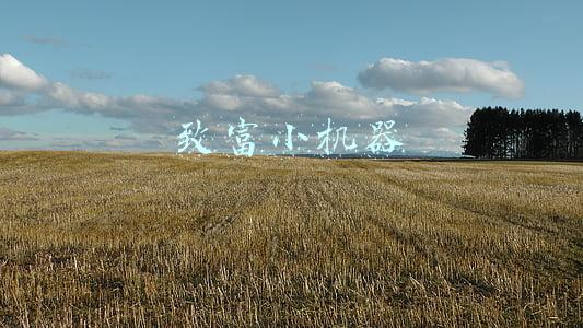 最赚钱的小型机器设备(小型红薯淀粉生产线加工设备——农户分散加工淀粉赚钱利器)