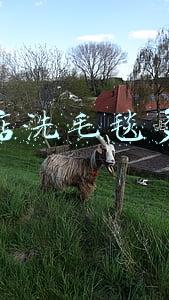 干洗店洗一双鞋子多少钱-干洗店洗一双鞋多少钱