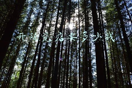 开陶瓷店赚钱吗-开瓷砖店赚钱吗