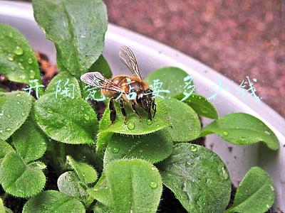 华光陶瓷旗舰店《华光陶瓷旗舰店天猫》