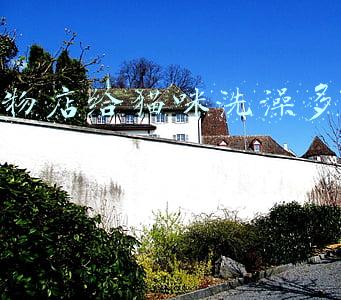 去宠物店给猫咪洗澡多少钱-在宠物店给猫咪洗澡多少钱