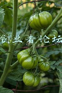 创业者论坛