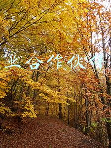 创业合作伙伴网