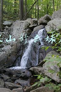 银山舒幺妹儿