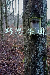 巧思集团官网(巧思企业助力四川扶贫建设签订亿元大单)
