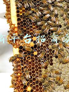 电商平台招商方案