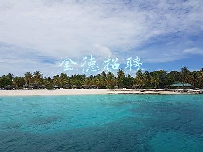 金德招聘