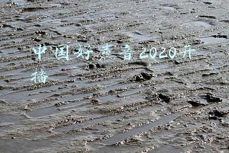 中国好声音2020开播