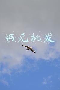 两元批发