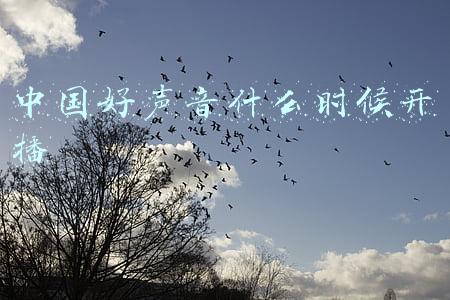中国好声音什么时候开播