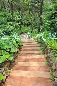 卫生纸代理利润怎么样(卫生纸迎“涨价潮”上市纸企一季度利润大幅增长)