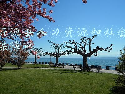 沂源县人力资源和社会保障网官网(沂源2022“春风行动”网络招聘会 今日启动)