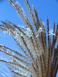 苏州创意产业园