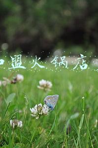 开个火锅店要多少钱起步(开个火锅店要多少钱)
