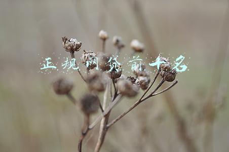 正规网贷前十名