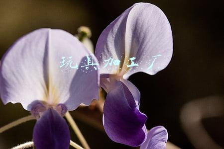 玩具加工厂
