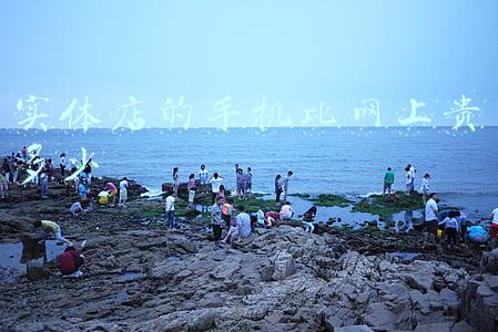 京东手机比实体店贵 京东手机比实体店贵的原因