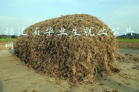 福建省毕业生就业公共网