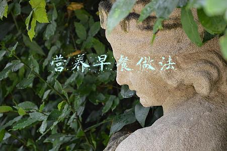 营养早餐做法视频(这6道早餐手不用碰面，筷子一搅就完成，做法省时省力，营养好吃)