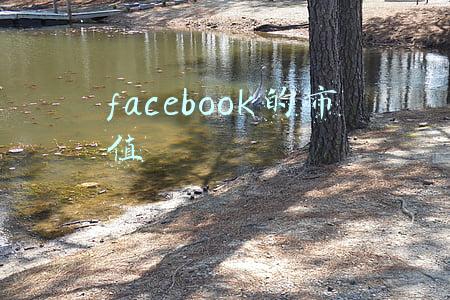 facebook 市值(外媒：脸书母公司Meta市值跌出全球排名前10，排名滑落到腾讯之后)