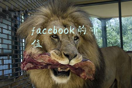 facebook的市值