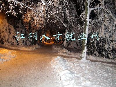 江阴人才招聘信息网(刚公布！江阴一大批重量级事业单位招聘，全部有编制！岗位表)