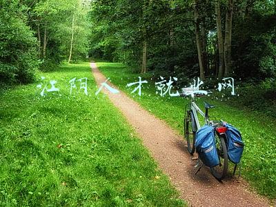 江阴人才招聘网(省属事业单位招聘766人，江阴5人)