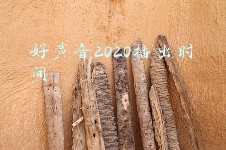 好声音2020播出时间