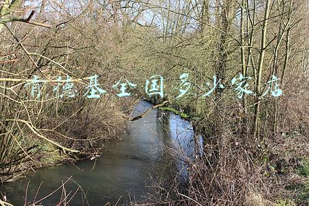 肯德基全国分布图-肯德基全球分布图片