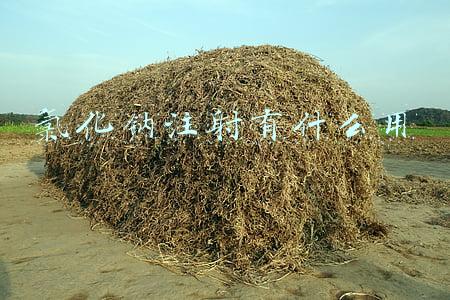 氯化钠注射有什么作用(这23种药，不宜与复方氯化钠注射液配伍使用)