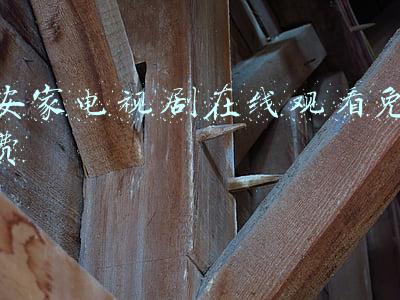 安家电视剧在线观看免费