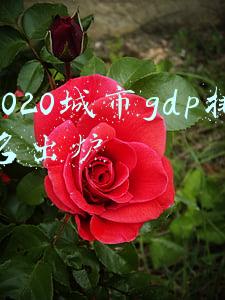 2020城市gdp排名出炉