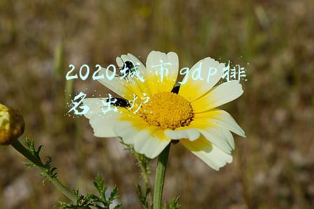 2020城市gdp排名出炉