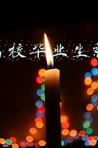 西藏就业信息网(608个！2021年西藏区直、七市地事业单位公开招聘高校毕业生空缺岗位补录公告)