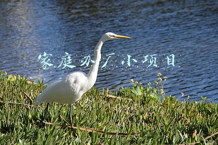 家庭办厂小项目