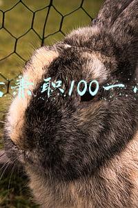 微信兼职100一小时不交会费(靠点赞、打赏兼职就能日赚100？“套路”兼职为何屡禁不止？)