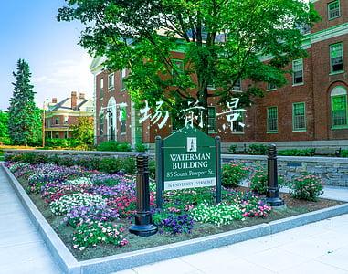 市场前景好怎么形容(中国日报网评：“双十一”印证中国消费市场潜力，电商行业发展持续提质升级)