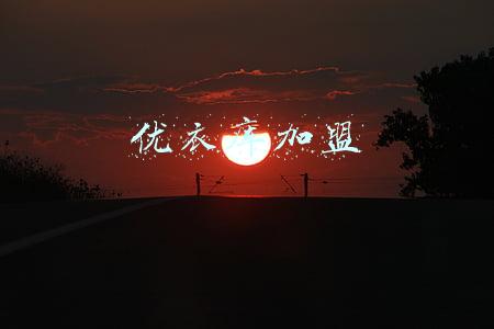 优衣库加盟费及加盟条件2021(「李维华讲特许经营」优衣库和KAWS再度联名证明维华加盟指数重要)