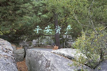 平安资产有多少个亿(中国平安2021年净利363.36亿较上年同期增长25.6%)