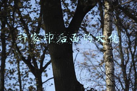 许家印后面的大佬郑裕彤(郑裕彤当年帮了许家印，恒大上市首日，他也就跟着赚到了几十亿)